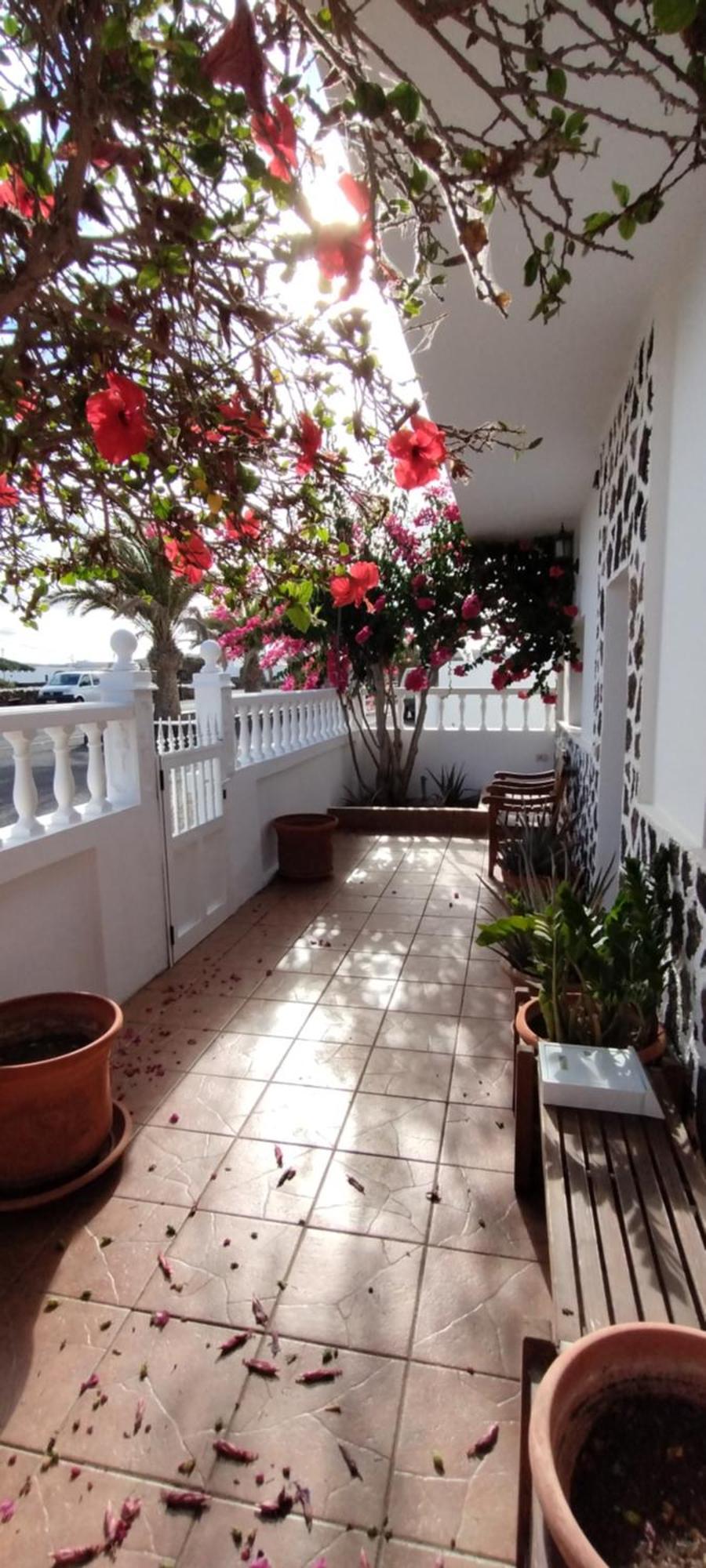 Villa Casa M & A La Oliva Esterno foto